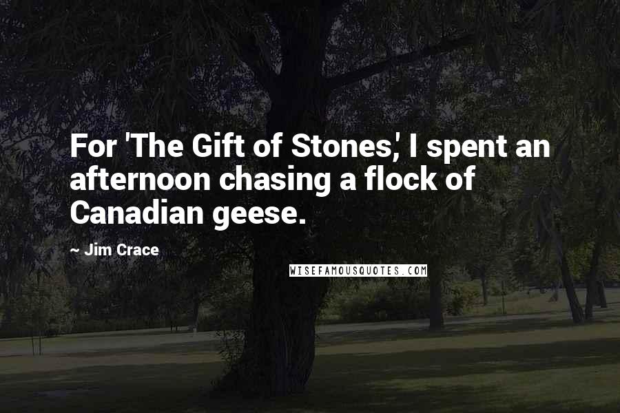 Jim Crace Quotes: For 'The Gift of Stones,' I spent an afternoon chasing a flock of Canadian geese.