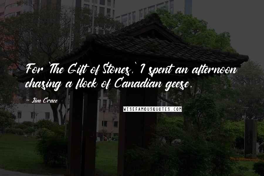 Jim Crace Quotes: For 'The Gift of Stones,' I spent an afternoon chasing a flock of Canadian geese.