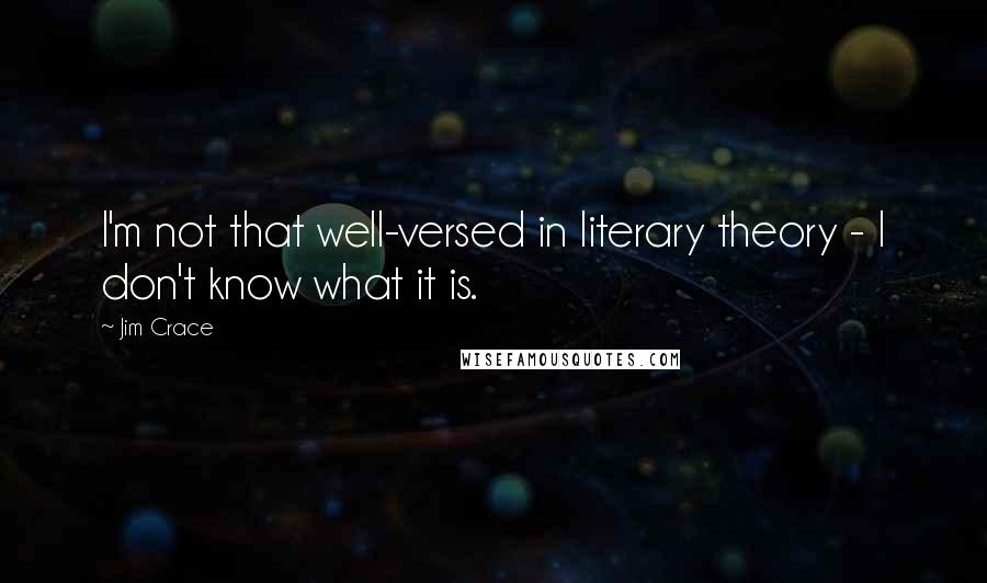 Jim Crace Quotes: I'm not that well-versed in literary theory - I don't know what it is.