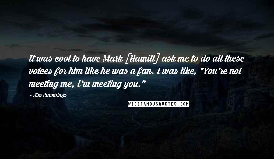 Jim Cummings Quotes: It was cool to have Mark [Hamill] ask me to do all these voices for him like he was a fan. I was like, "You're not meeting me, I'm meeting you."