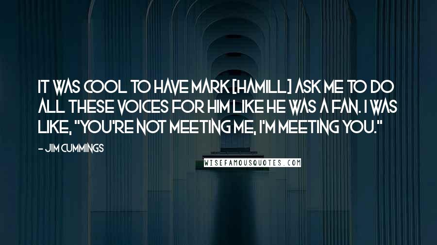 Jim Cummings Quotes: It was cool to have Mark [Hamill] ask me to do all these voices for him like he was a fan. I was like, "You're not meeting me, I'm meeting you."