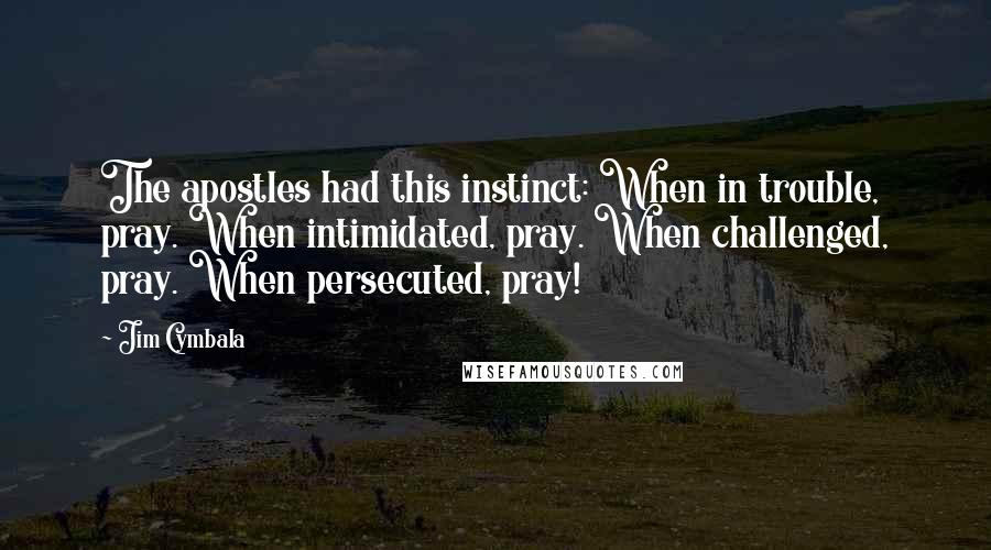 Jim Cymbala Quotes: The apostles had this instinct: When in trouble, pray. When intimidated, pray. When challenged, pray. When persecuted, pray!