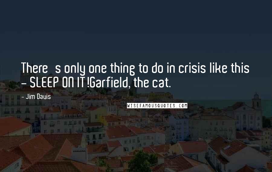 Jim Davis Quotes: There's only one thing to do in crisis like this - SLEEP ON IT!Garfield, the cat.