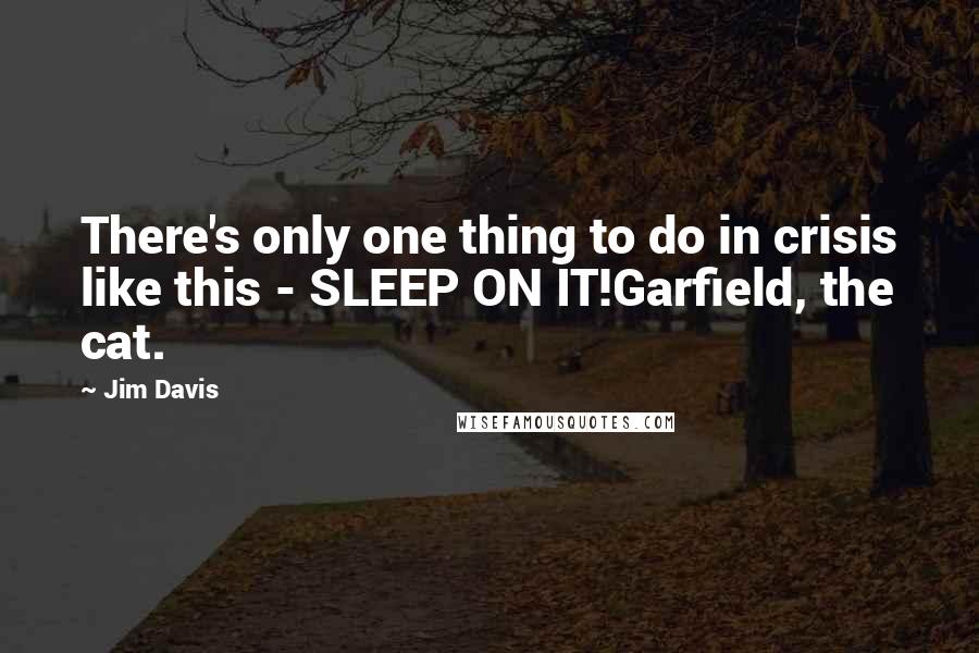 Jim Davis Quotes: There's only one thing to do in crisis like this - SLEEP ON IT!Garfield, the cat.