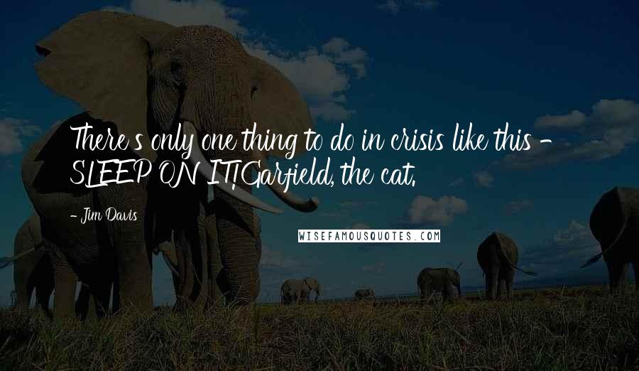 Jim Davis Quotes: There's only one thing to do in crisis like this - SLEEP ON IT!Garfield, the cat.