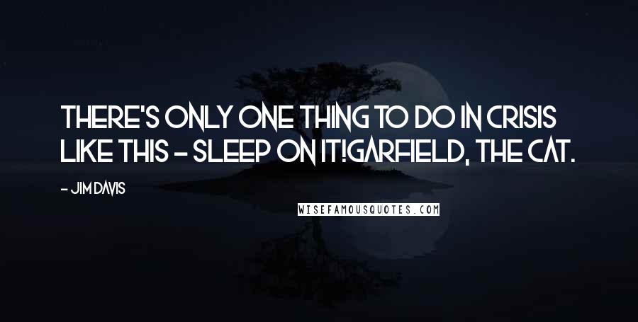 Jim Davis Quotes: There's only one thing to do in crisis like this - SLEEP ON IT!Garfield, the cat.