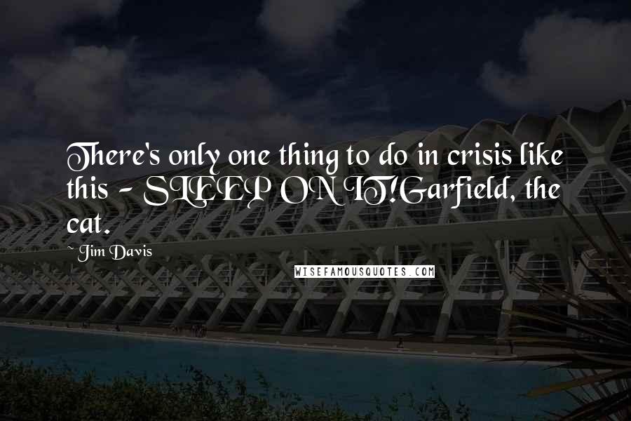 Jim Davis Quotes: There's only one thing to do in crisis like this - SLEEP ON IT!Garfield, the cat.