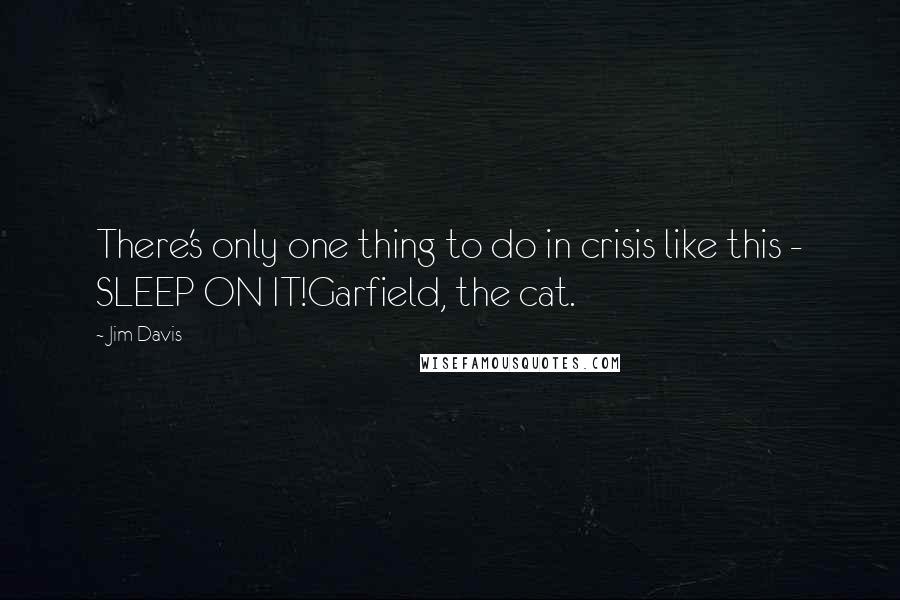 Jim Davis Quotes: There's only one thing to do in crisis like this - SLEEP ON IT!Garfield, the cat.