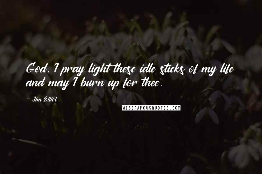 Jim Elliot Quotes: God, I pray light these idle sticks of my life and may I burn up for thee.