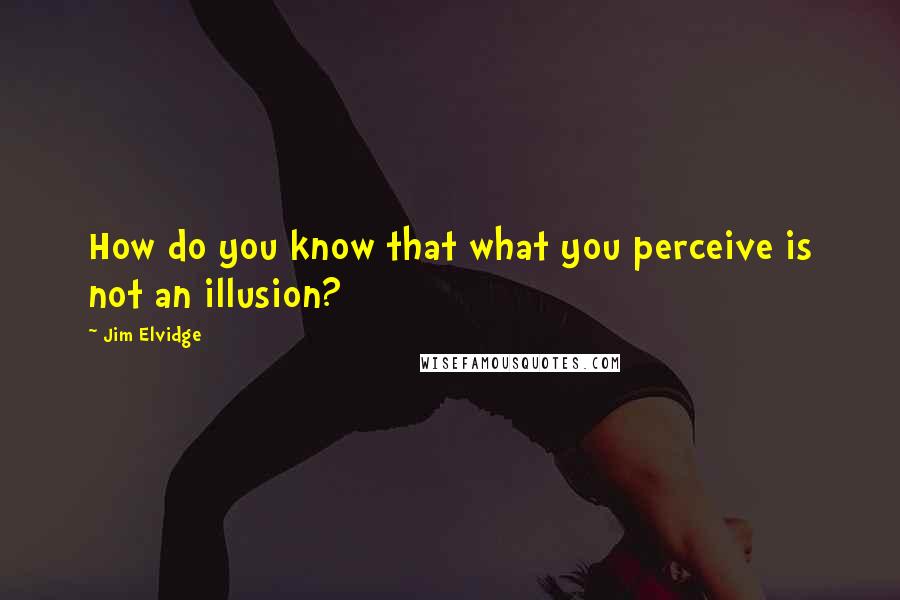 Jim Elvidge Quotes: How do you know that what you perceive is not an illusion?