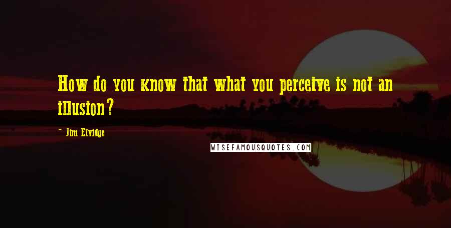 Jim Elvidge Quotes: How do you know that what you perceive is not an illusion?