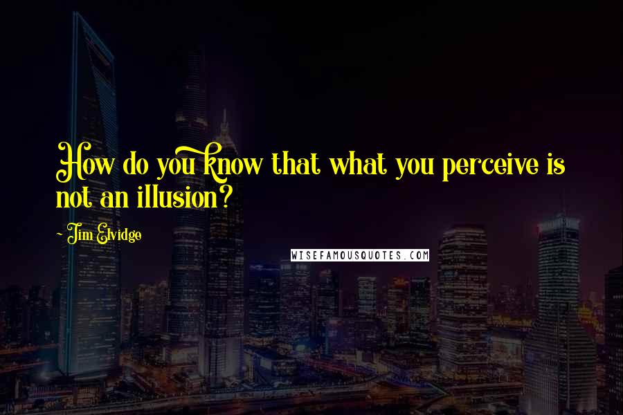 Jim Elvidge Quotes: How do you know that what you perceive is not an illusion?