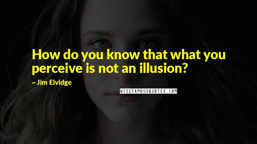 Jim Elvidge Quotes: How do you know that what you perceive is not an illusion?