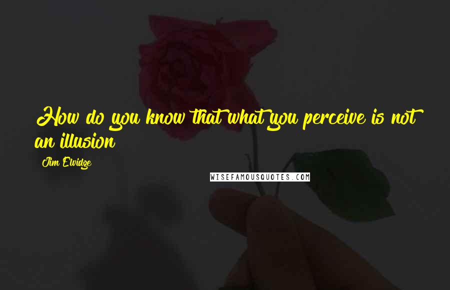 Jim Elvidge Quotes: How do you know that what you perceive is not an illusion?