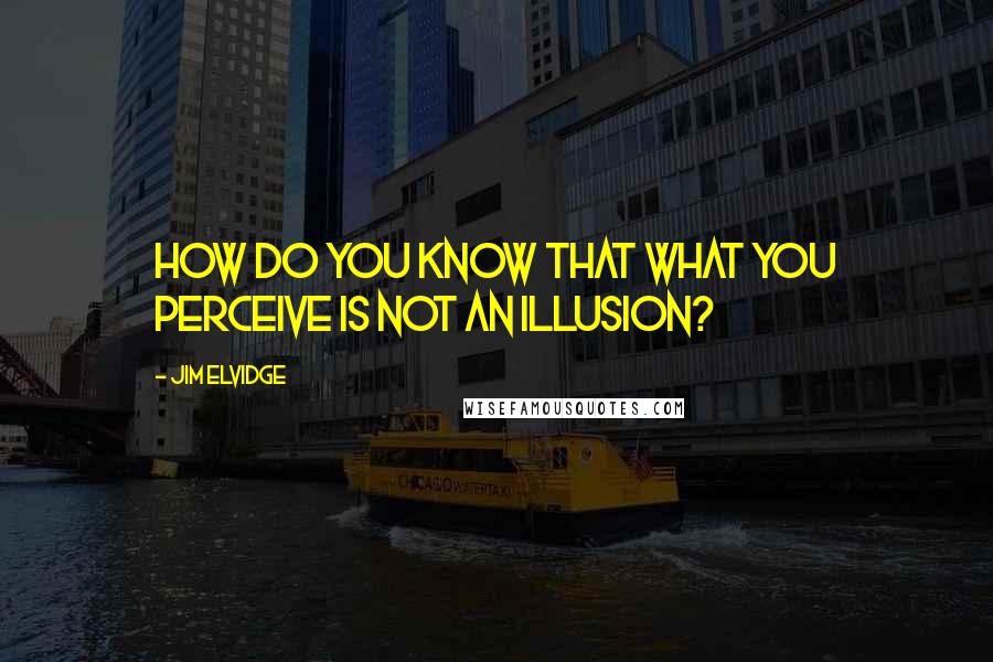 Jim Elvidge Quotes: How do you know that what you perceive is not an illusion?