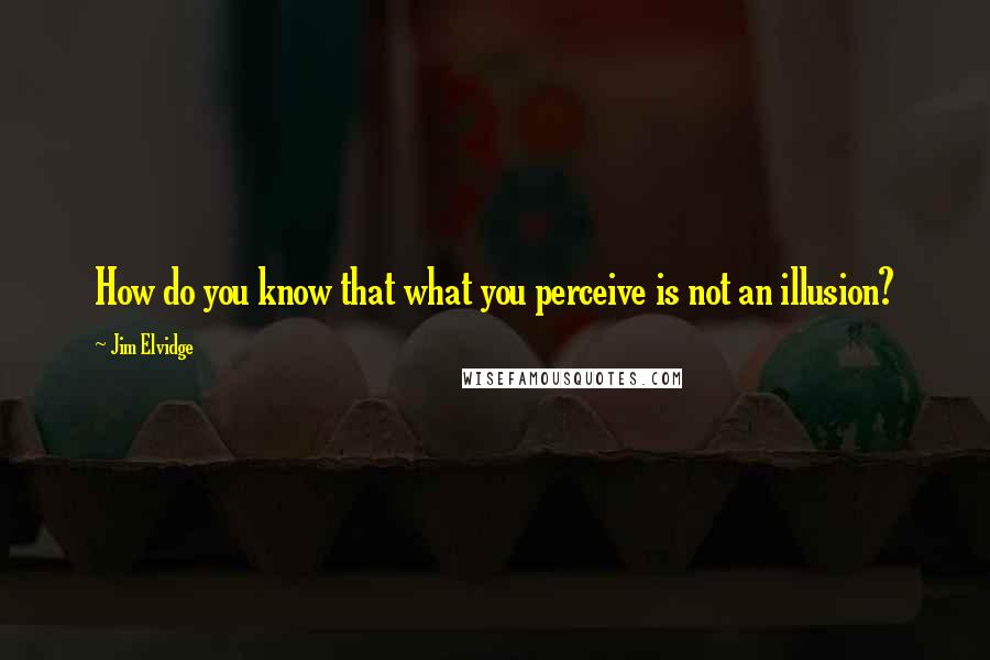 Jim Elvidge Quotes: How do you know that what you perceive is not an illusion?