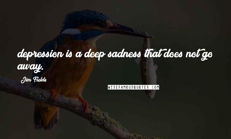 Jim Fields Quotes: depression is a deep sadness that does not go away.