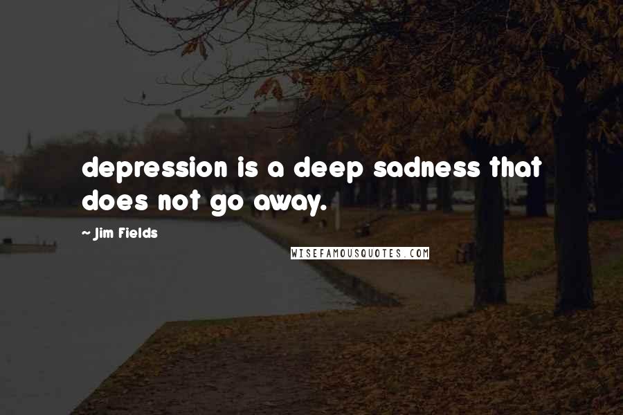 Jim Fields Quotes: depression is a deep sadness that does not go away.