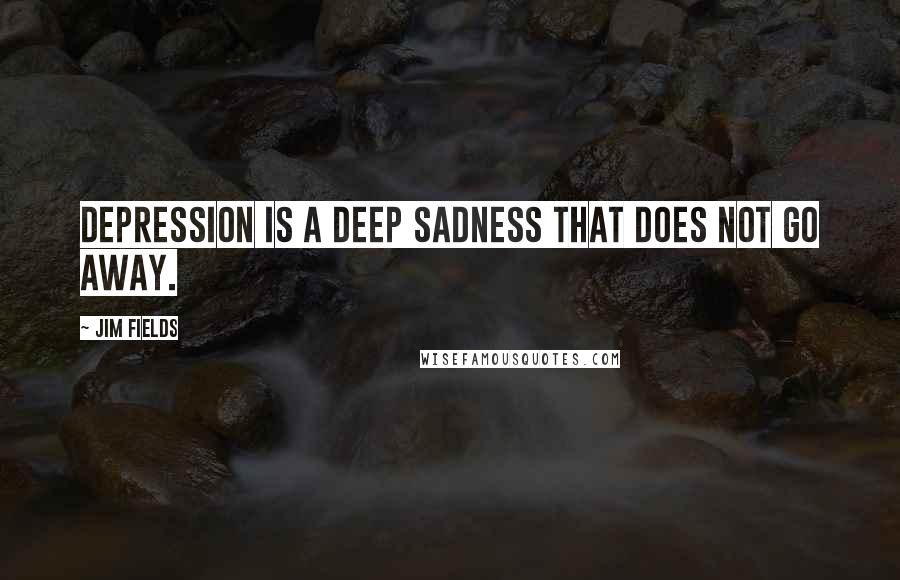 Jim Fields Quotes: depression is a deep sadness that does not go away.