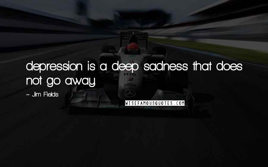 Jim Fields Quotes: depression is a deep sadness that does not go away.