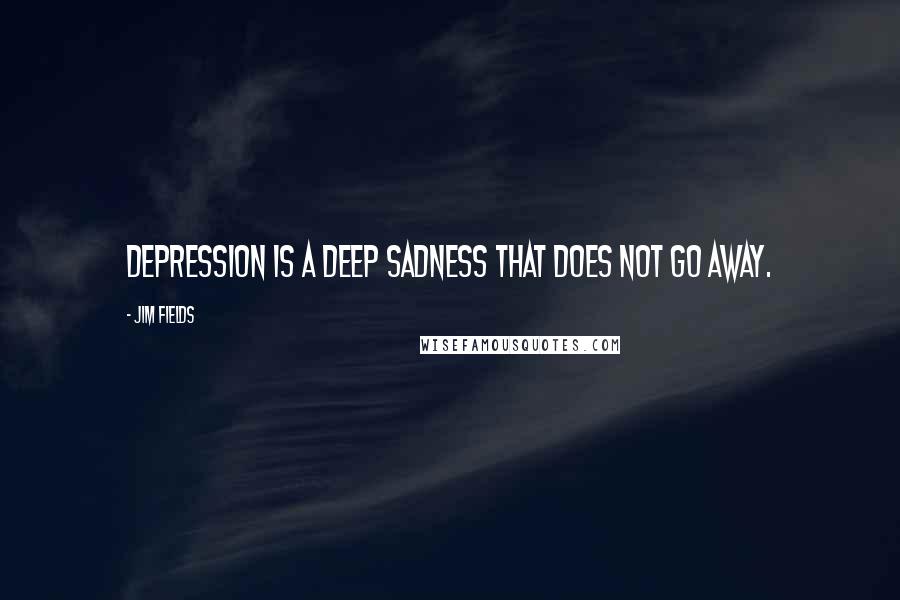 Jim Fields Quotes: depression is a deep sadness that does not go away.