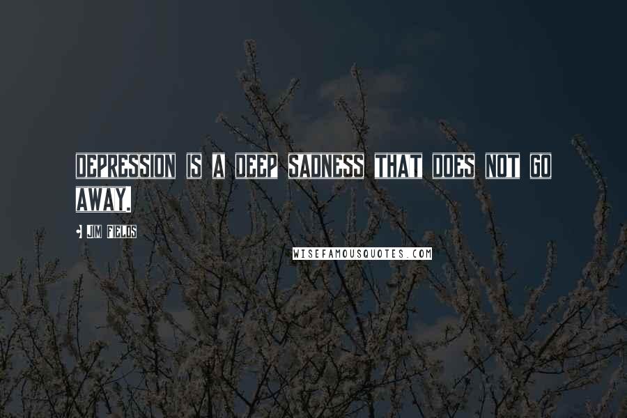 Jim Fields Quotes: depression is a deep sadness that does not go away.