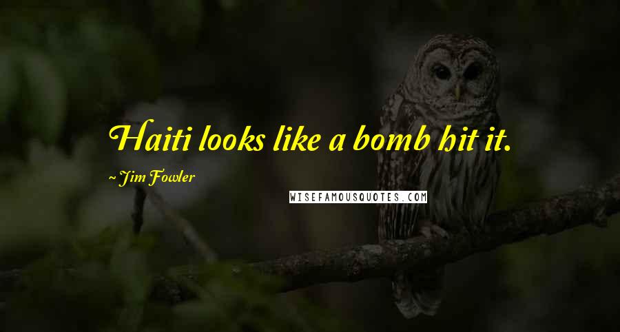 Jim Fowler Quotes: Haiti looks like a bomb hit it.