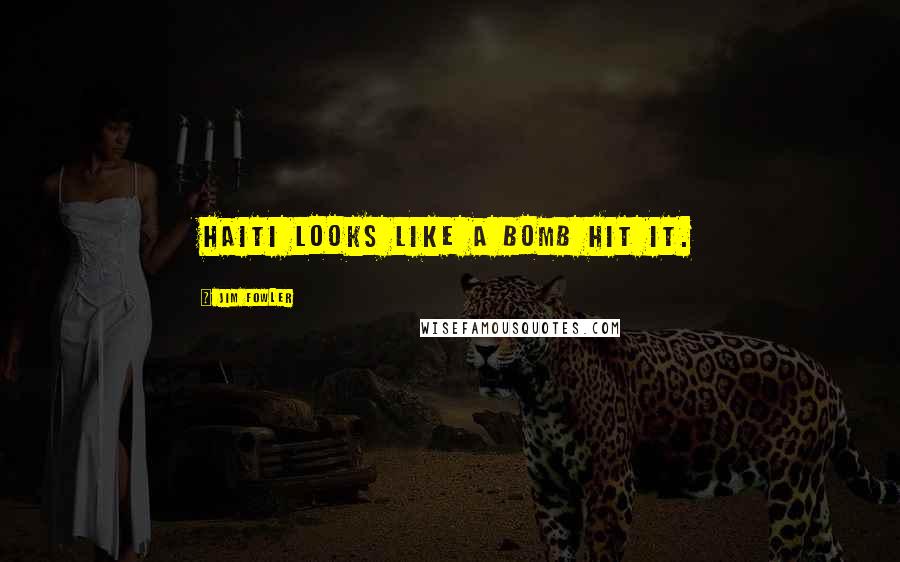 Jim Fowler Quotes: Haiti looks like a bomb hit it.