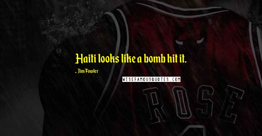 Jim Fowler Quotes: Haiti looks like a bomb hit it.