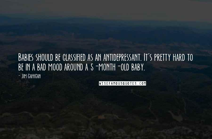 Jim Gaffigan Quotes: Babies should be classified as an antidepressant. It's pretty hard to be in a bad mood around a 5-month-old baby.