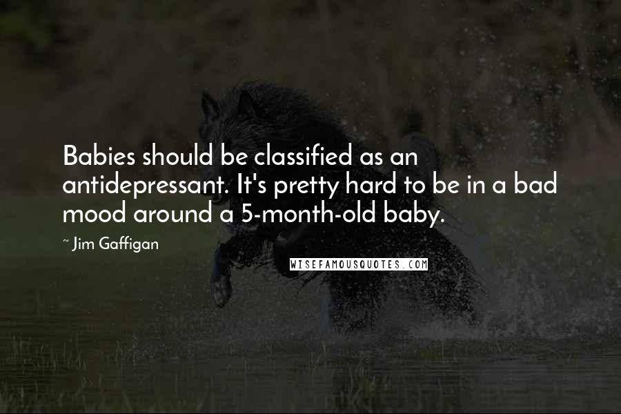 Jim Gaffigan Quotes: Babies should be classified as an antidepressant. It's pretty hard to be in a bad mood around a 5-month-old baby.