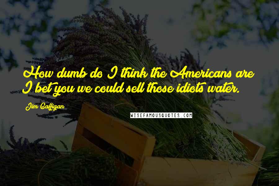 Jim Gaffigan Quotes: How dumb do I think the Americans are? I bet you we could sell those idiots water.