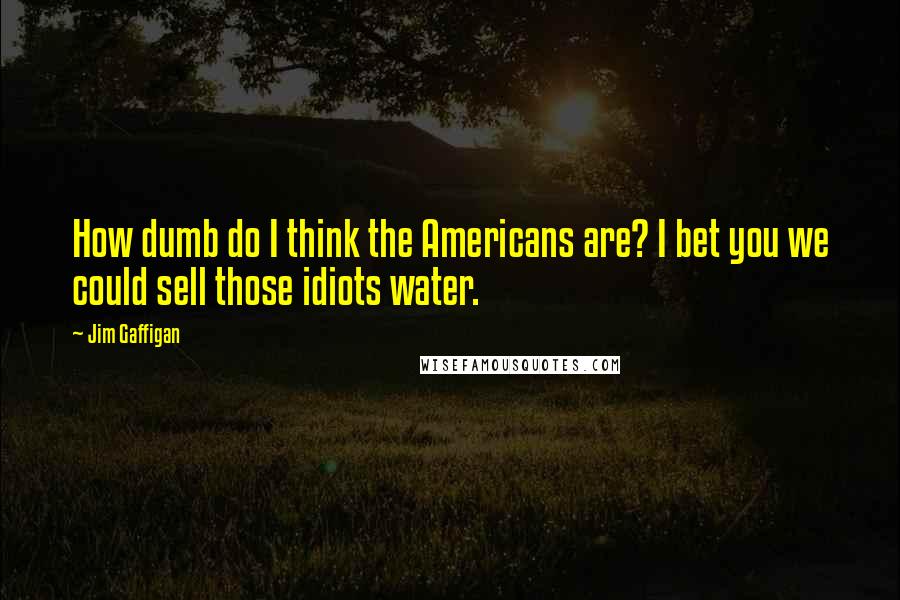 Jim Gaffigan Quotes: How dumb do I think the Americans are? I bet you we could sell those idiots water.