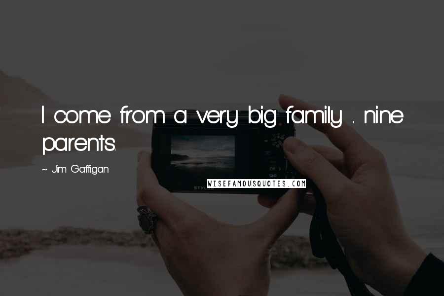 Jim Gaffigan Quotes: I come from a very big family ... nine parents.