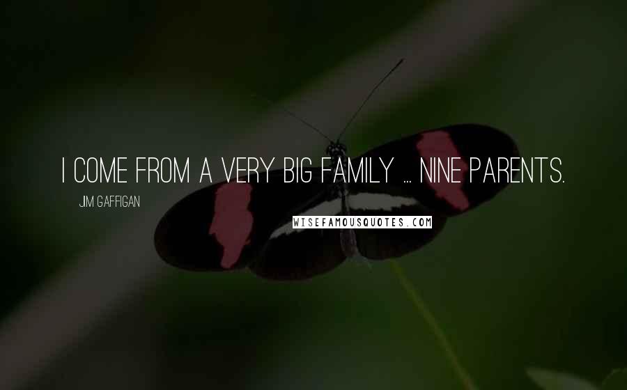 Jim Gaffigan Quotes: I come from a very big family ... nine parents.