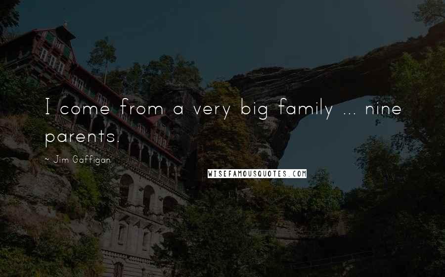 Jim Gaffigan Quotes: I come from a very big family ... nine parents.