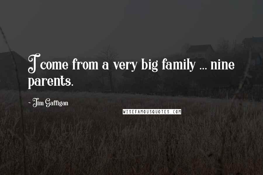 Jim Gaffigan Quotes: I come from a very big family ... nine parents.