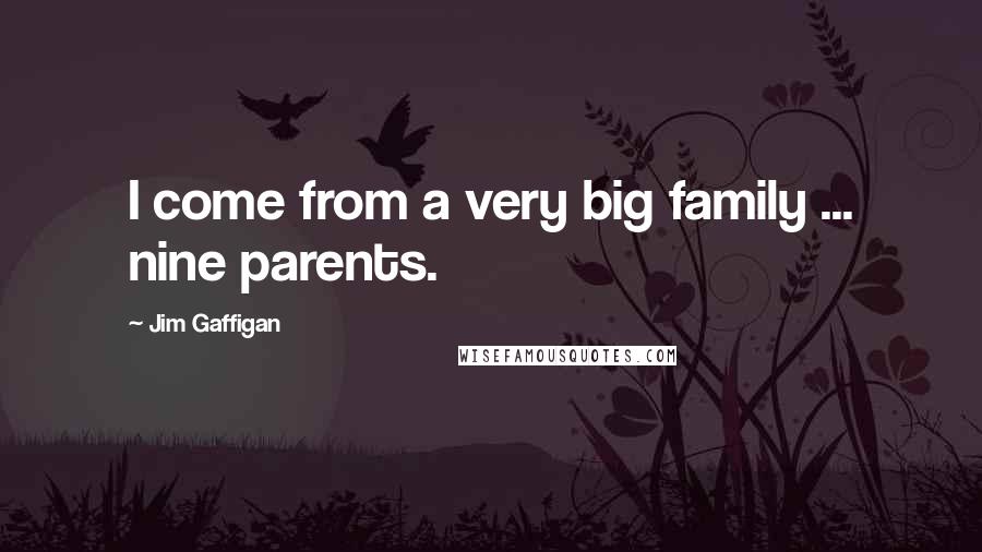 Jim Gaffigan Quotes: I come from a very big family ... nine parents.