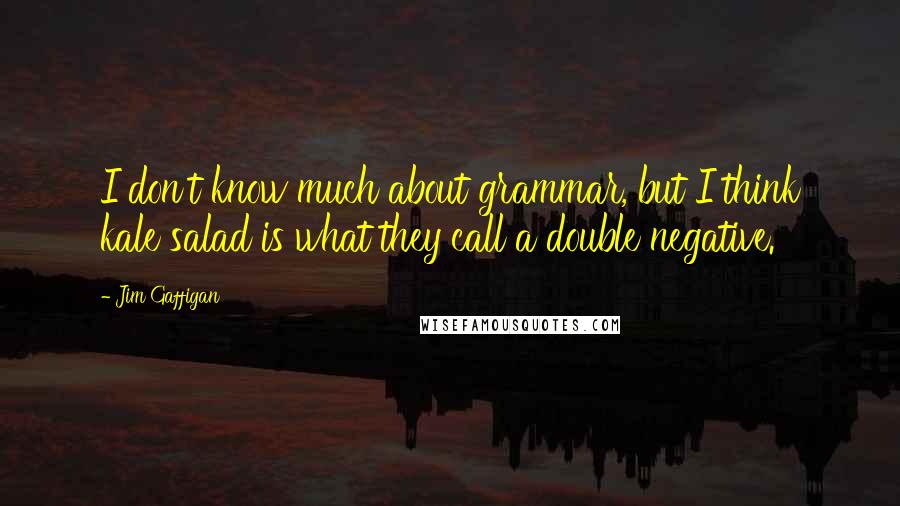 Jim Gaffigan Quotes: I don't know much about grammar, but I think kale salad is what they call a double negative.