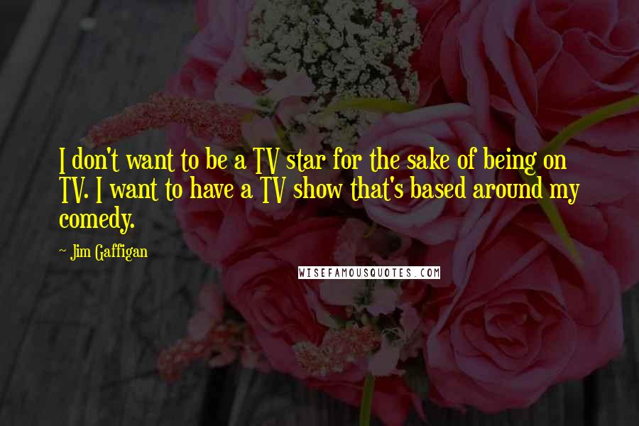 Jim Gaffigan Quotes: I don't want to be a TV star for the sake of being on TV. I want to have a TV show that's based around my comedy.