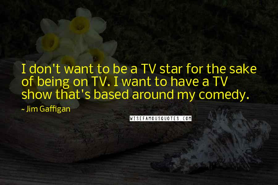 Jim Gaffigan Quotes: I don't want to be a TV star for the sake of being on TV. I want to have a TV show that's based around my comedy.