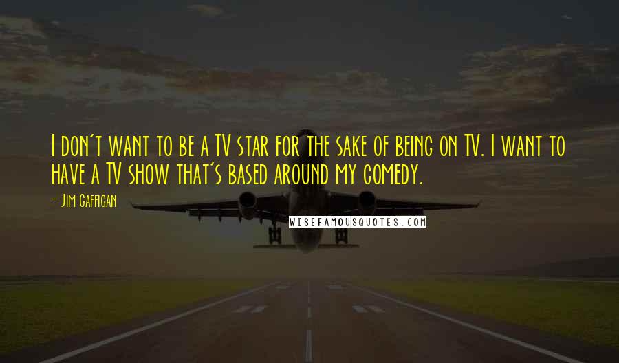 Jim Gaffigan Quotes: I don't want to be a TV star for the sake of being on TV. I want to have a TV show that's based around my comedy.