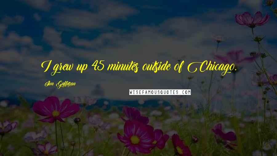 Jim Gaffigan Quotes: I grew up 45 minutes outside of Chicago.