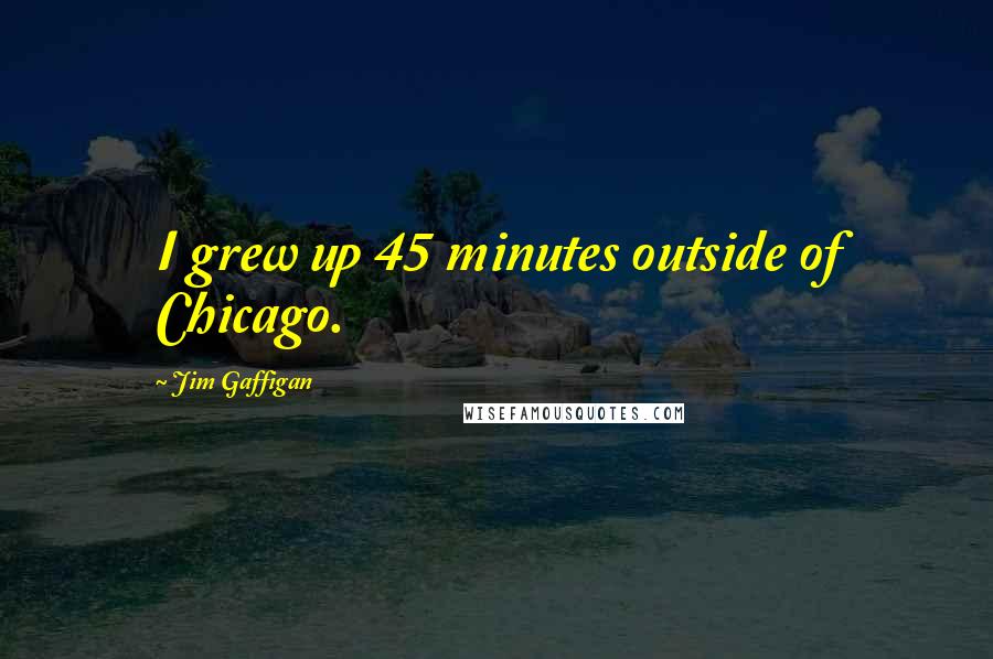 Jim Gaffigan Quotes: I grew up 45 minutes outside of Chicago.