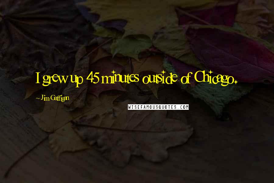 Jim Gaffigan Quotes: I grew up 45 minutes outside of Chicago.
