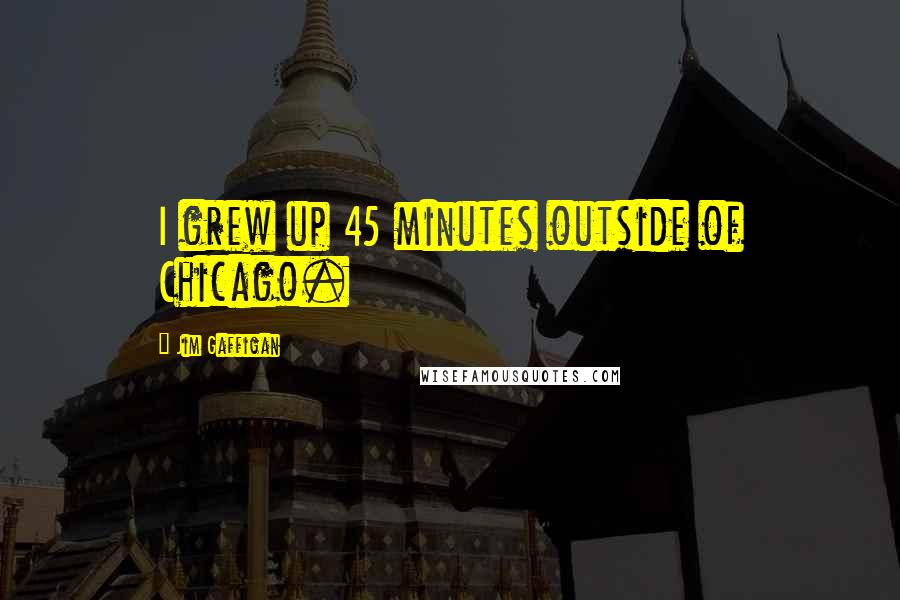 Jim Gaffigan Quotes: I grew up 45 minutes outside of Chicago.