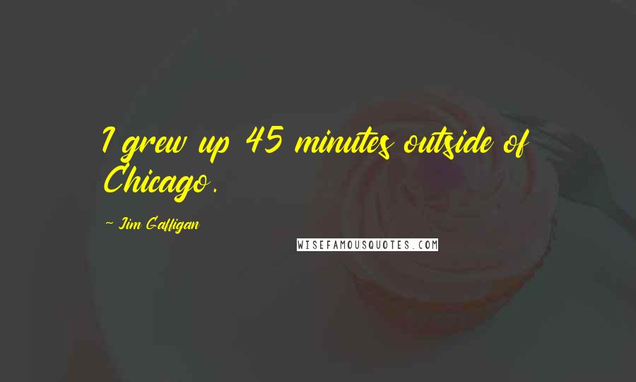 Jim Gaffigan Quotes: I grew up 45 minutes outside of Chicago.