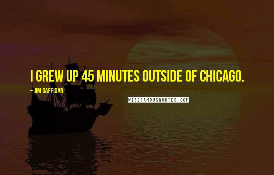 Jim Gaffigan Quotes: I grew up 45 minutes outside of Chicago.