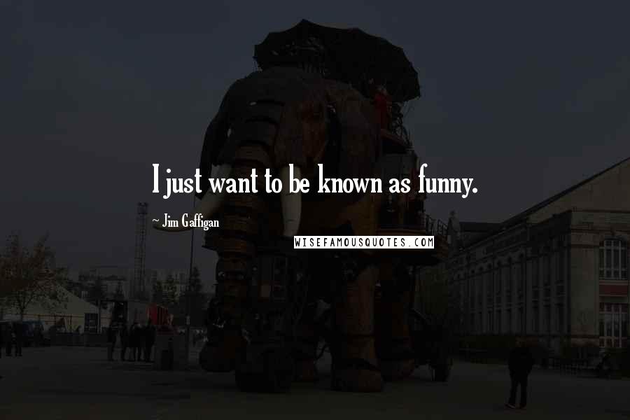 Jim Gaffigan Quotes: I just want to be known as funny.