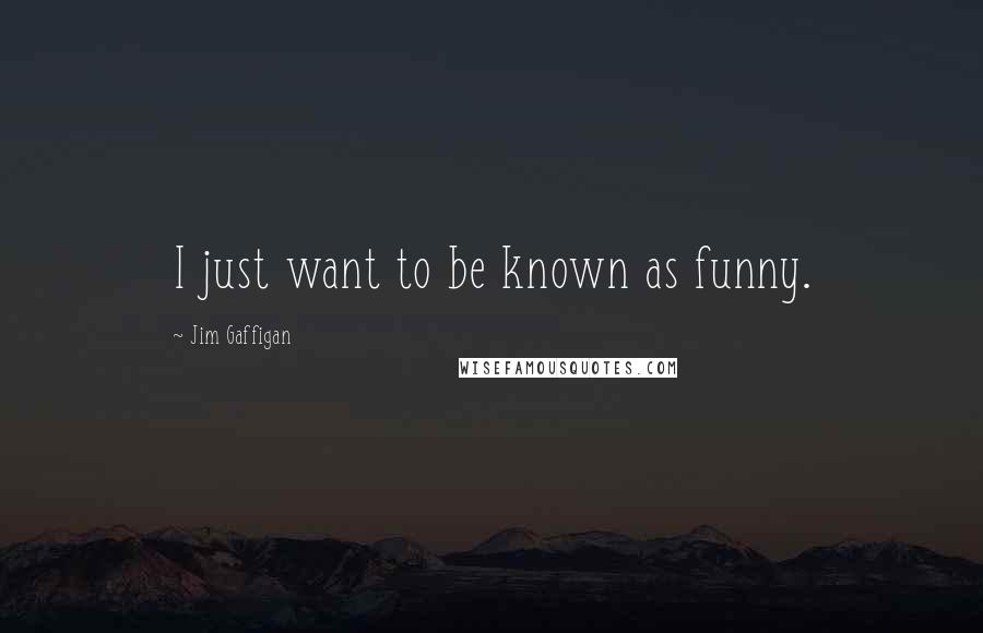 Jim Gaffigan Quotes: I just want to be known as funny.